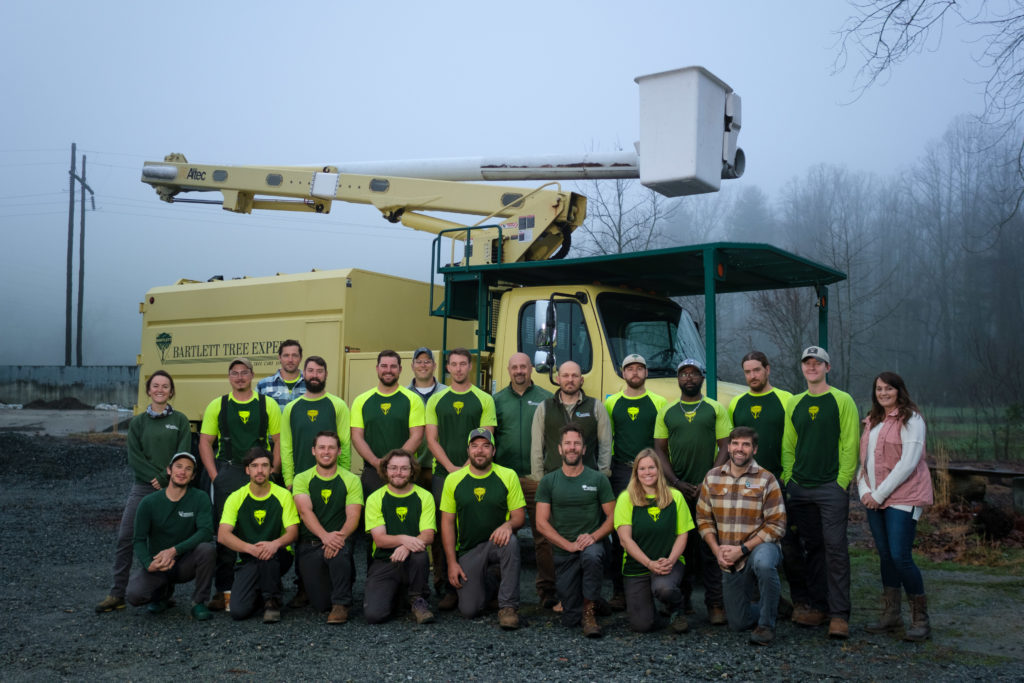 Partner spotlight Bartlett Tree Experts lend expertise to Tree